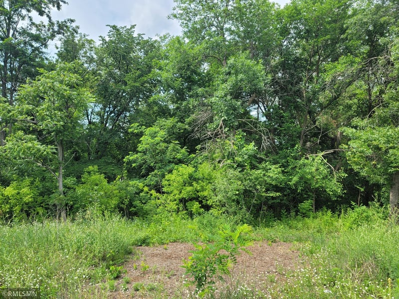 xxx W Fawn Lake Rd, Stacy, MN 55079