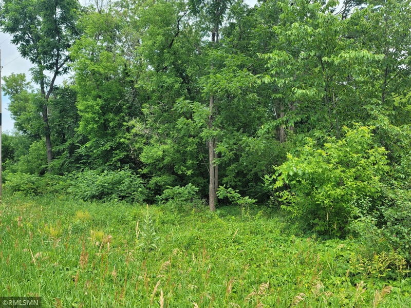 xxx W Fawn Lake Rd, Stacy, MN 55079