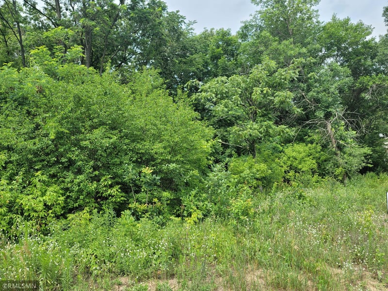 xxx W Fawn Lake Rd, Stacy, MN 55079