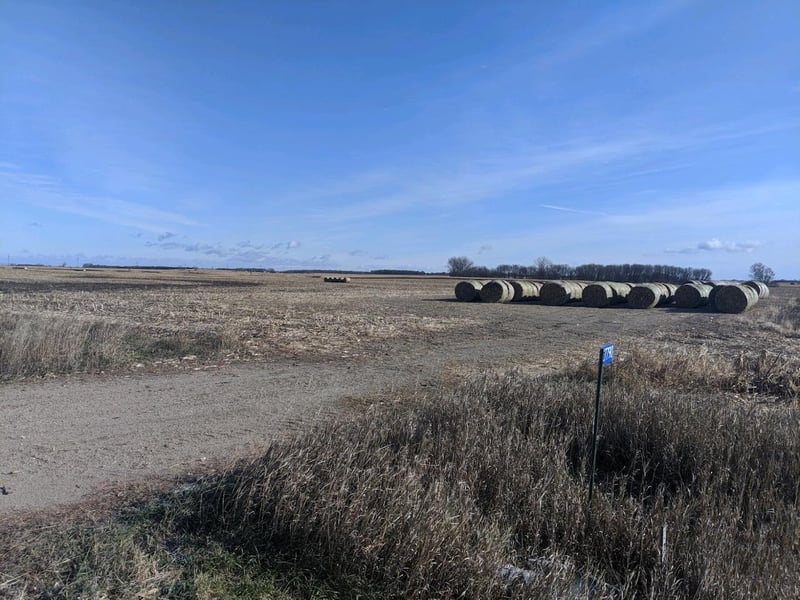 27790 Kandi Meeker Rd, Atwater, MN 56209