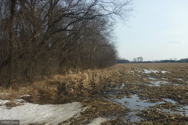 176xx 350th St, Shafer, MN 55074