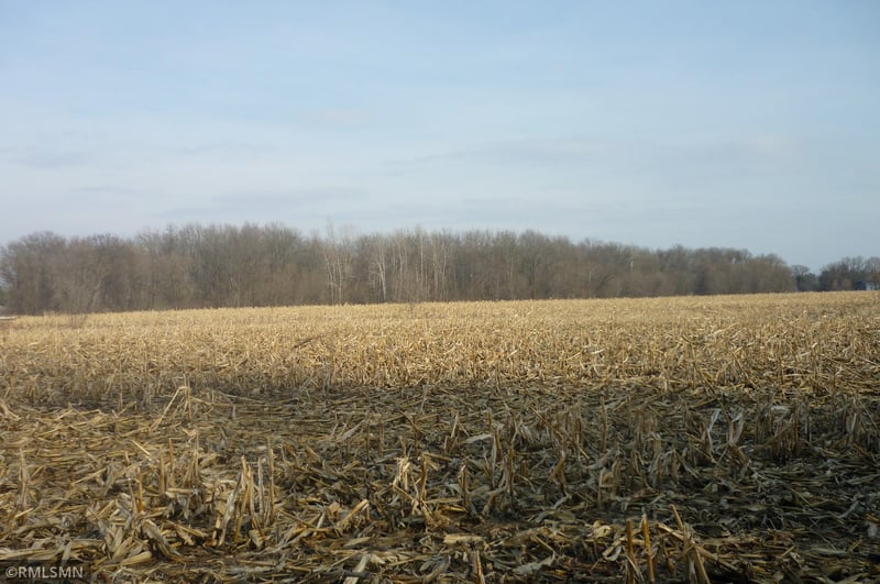 176xx 350th St, Shafer, MN 55074