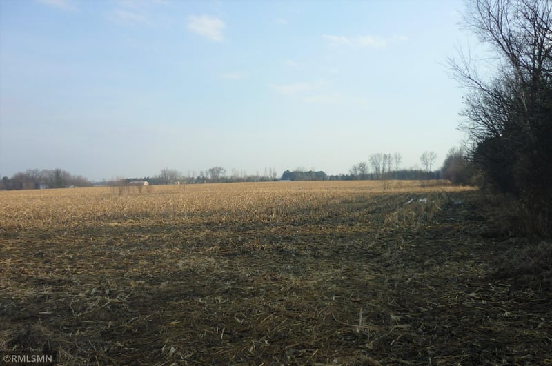 176xx 350th St, Shafer, MN 55074