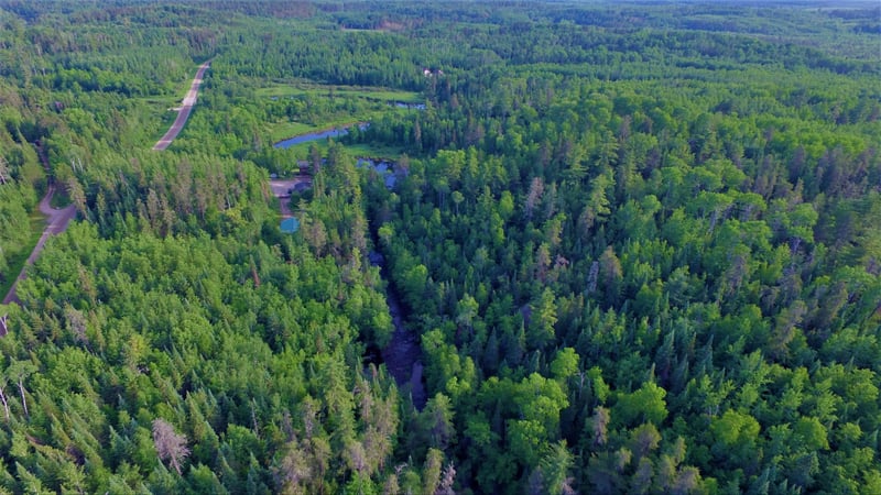 xx14.9 Nelson Rd, Crane Lake, MN 55725