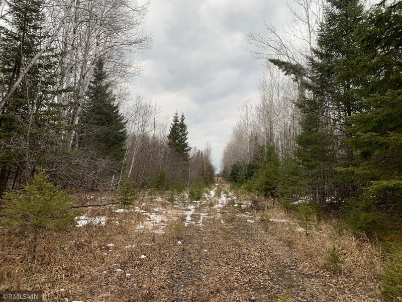 25631 Pleasant Valley Rd, Puposky, MN 56667