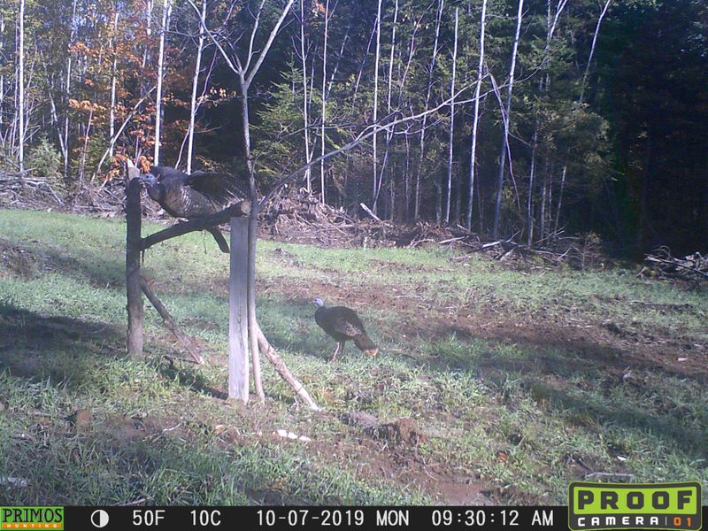 00 S Jackson Rd, Bennett, WI 54873