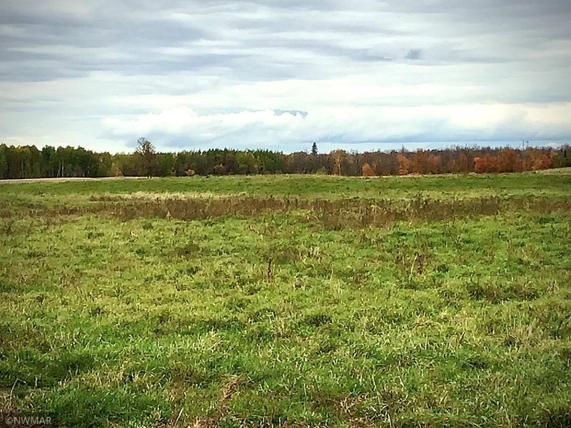 TBD Birchwood Rd, Tenstrike, MN 56647