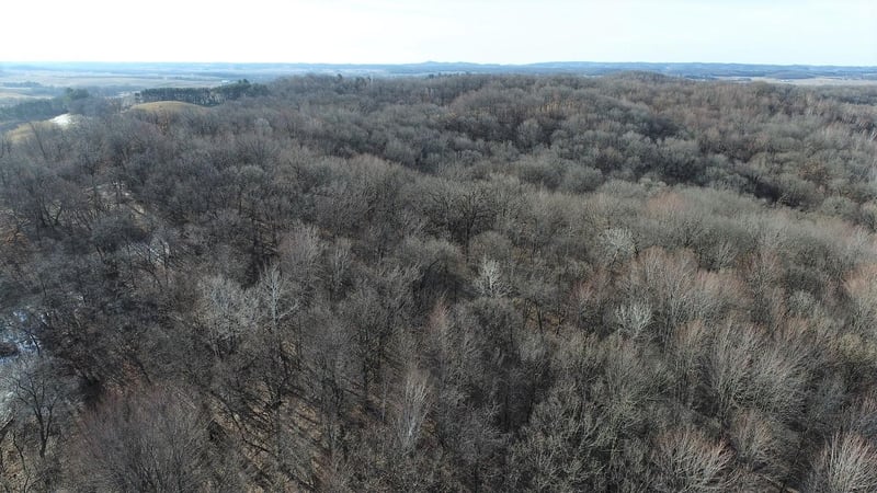 0 Tollefson Rd, Eleva, WI 54738