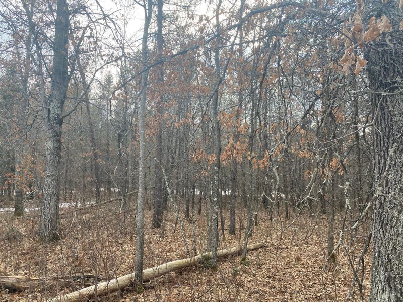 xxxxx State Road 35, Danbury, WI 54830