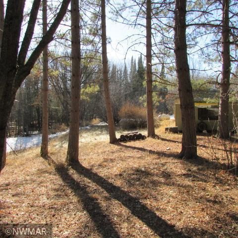 12762 State Highway 11 SE, Baudette, MN 56623