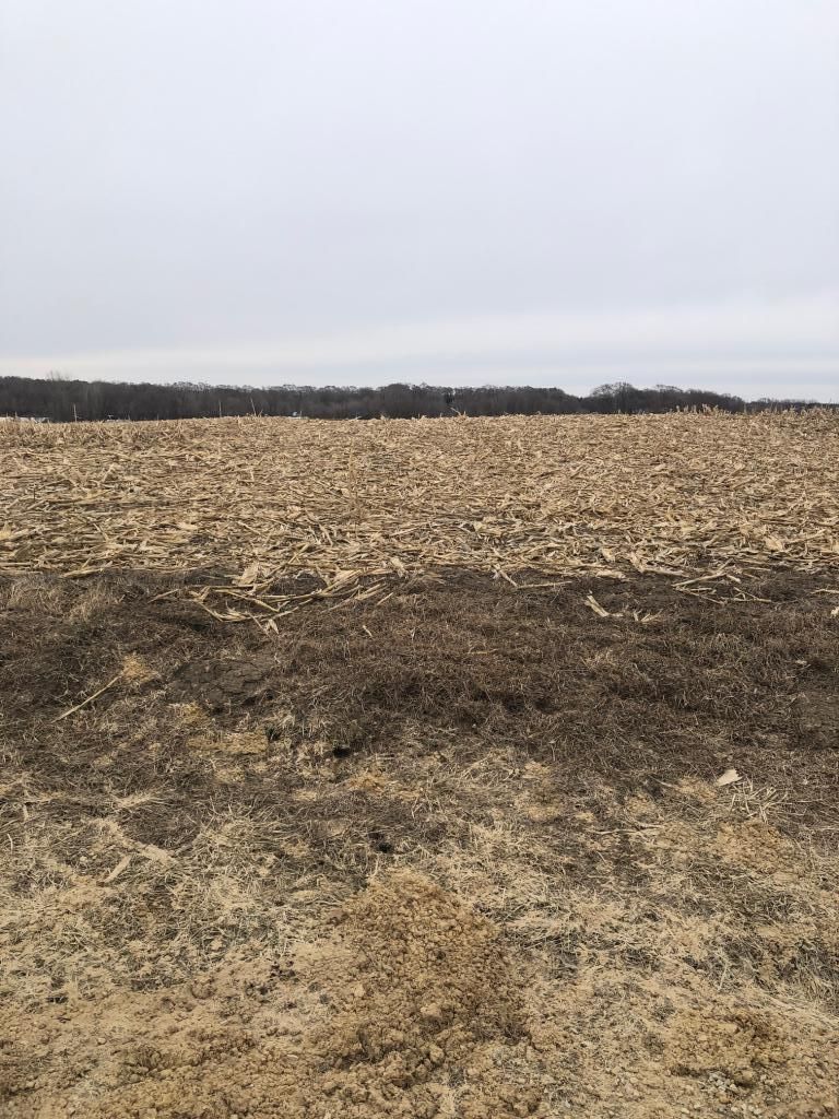 xxxxC Denmark Ave, Northfield, MN 55057