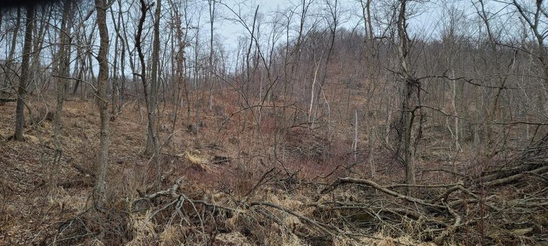0 Holseth Rd, Holmen, WI 54636