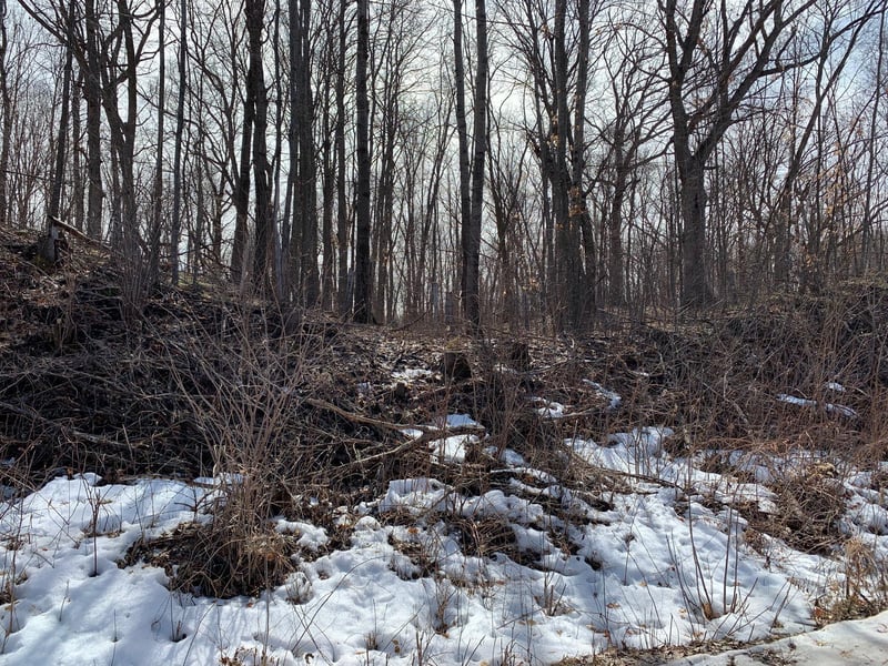 262.66 Acres 140th Ave, Frederic, WI 54837
