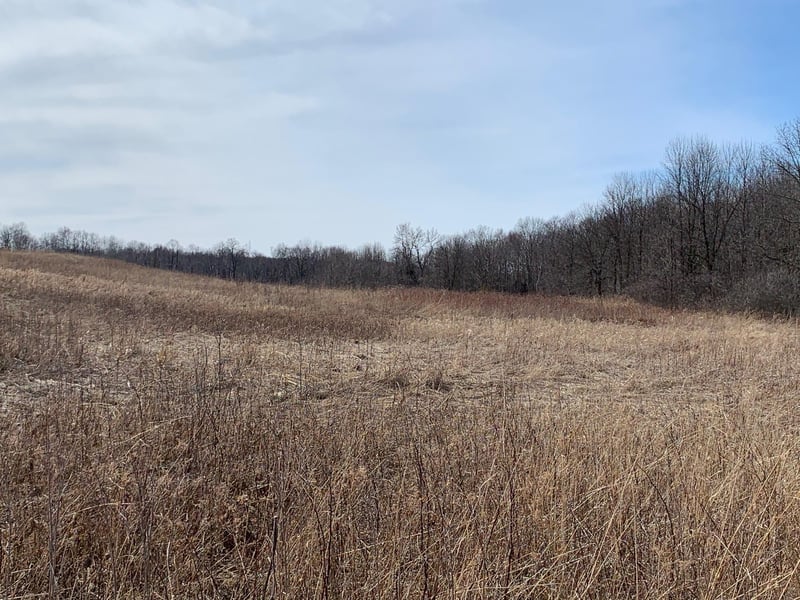 262.66 Acres 140th Ave, Frederic, WI 54837