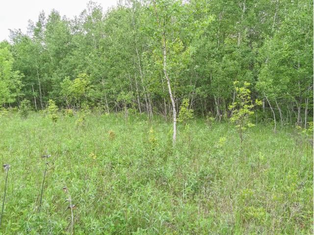 Parcel E Old Highway 18, Garrison, MN 56450
