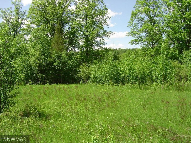 21949 Birchmont Beach Rd NE, Bemidji, MN 56601