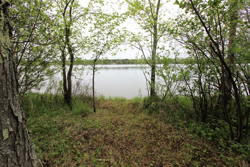 38437 W Wind Dr, Bovey, MN 55709