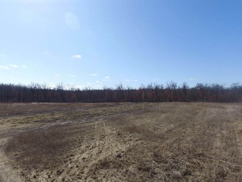 xxx S Mine Ave, Brainerd, MN 56401