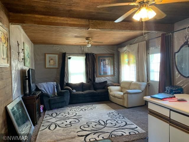 160 Elm St, Gonvick, MN 56644