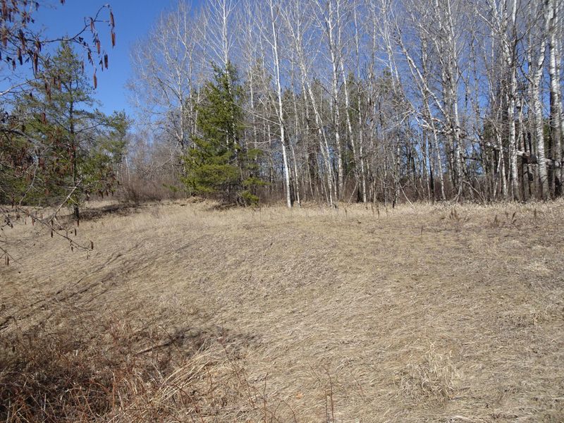 TBD 12th Street Sw, Pine River, MN 56474