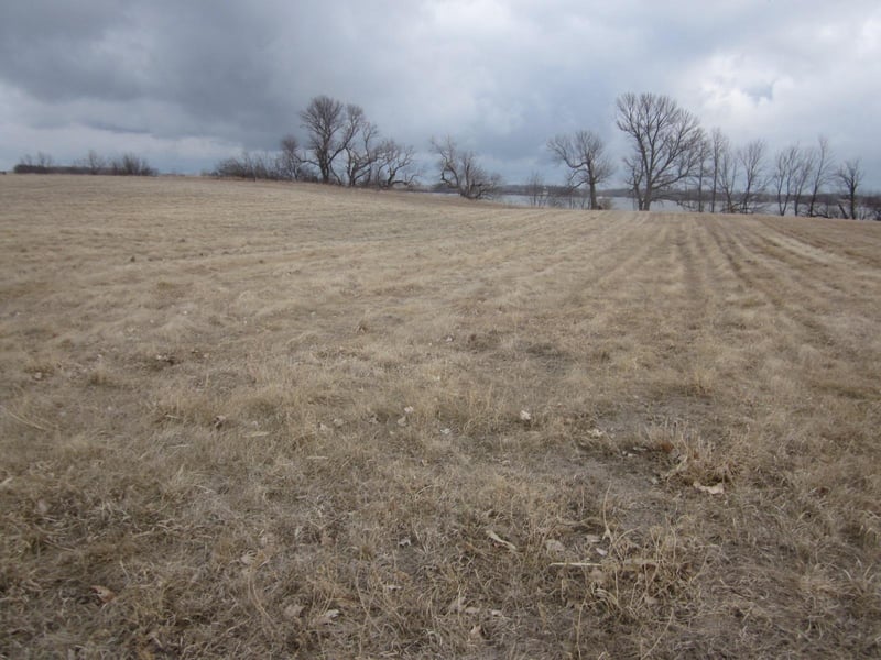 257th Ave Ave, Wendell, MN 56590