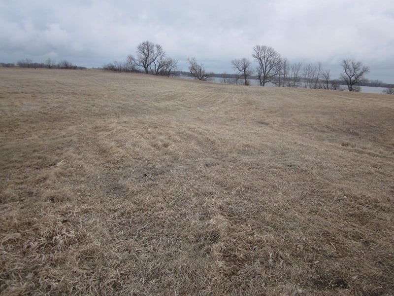 257th Ave Ave, Wendell, MN 56590