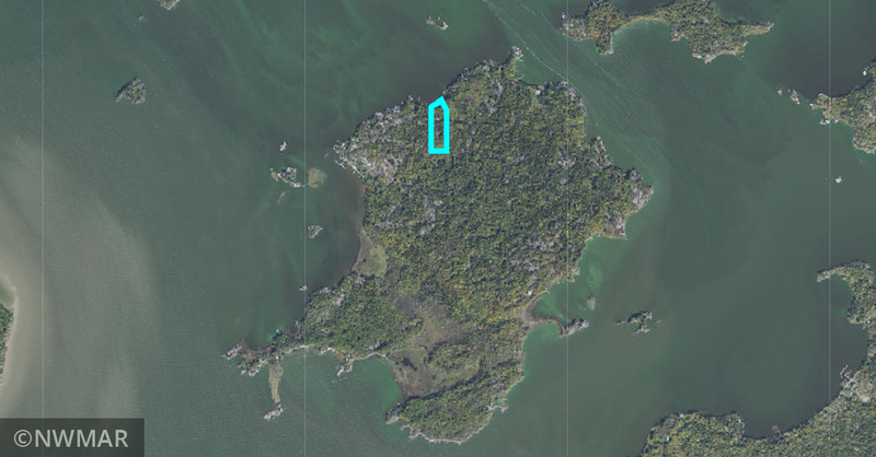 Lot 5 Flag Island, Angle Inlet, MN 56741