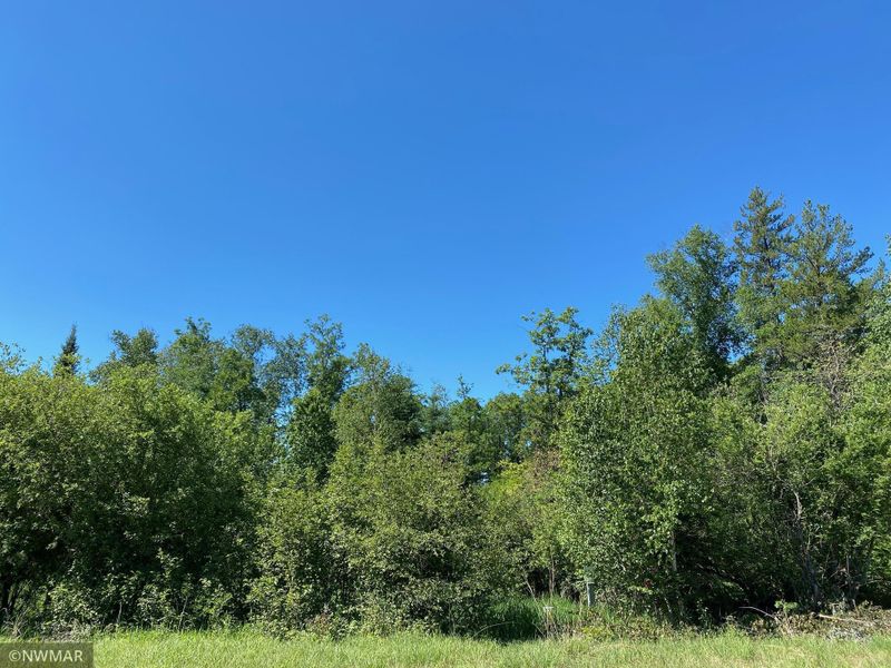 0 Goldfinch Ln SW, Bemidji, MN 56601