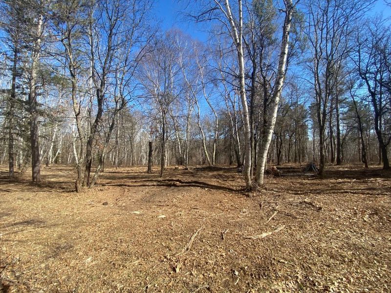 TBD Gunflint Dr, Park Rapids, MN 56470