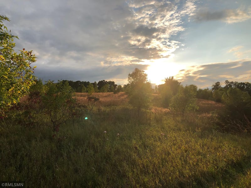 xxx 160th St, Kilkenny, MN 56052