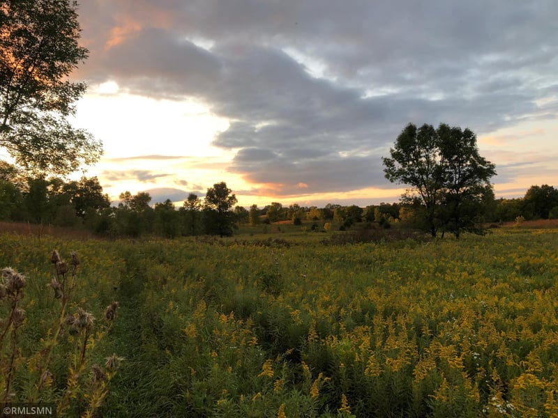 xxx 160th St, Kilkenny, MN 56052