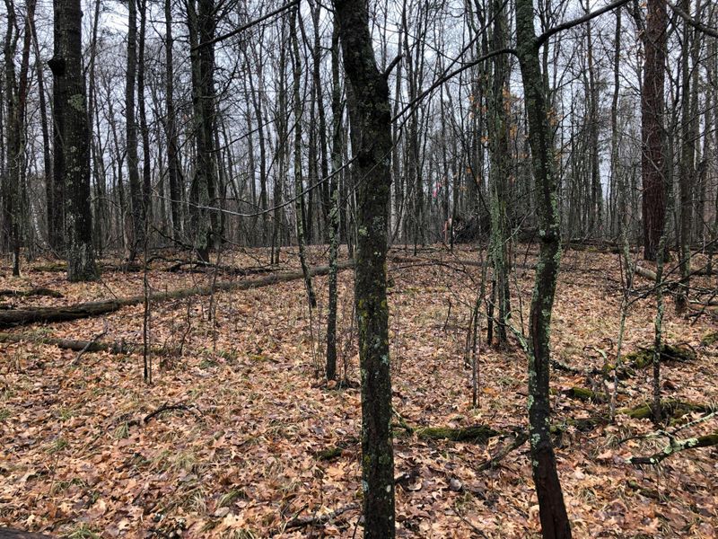 000 County Rd 39, Breezy Point, MN 56472