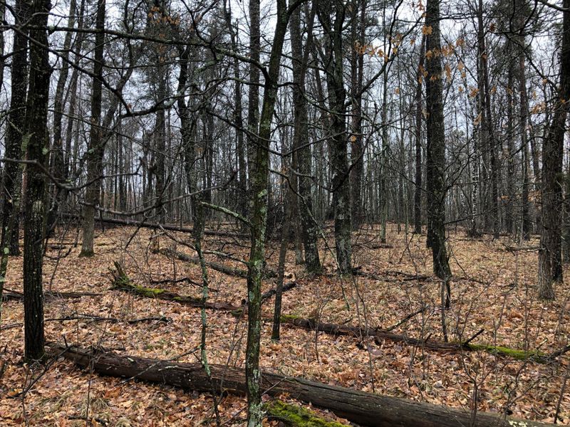 000 County Rd 39, Breezy Point, MN 56472