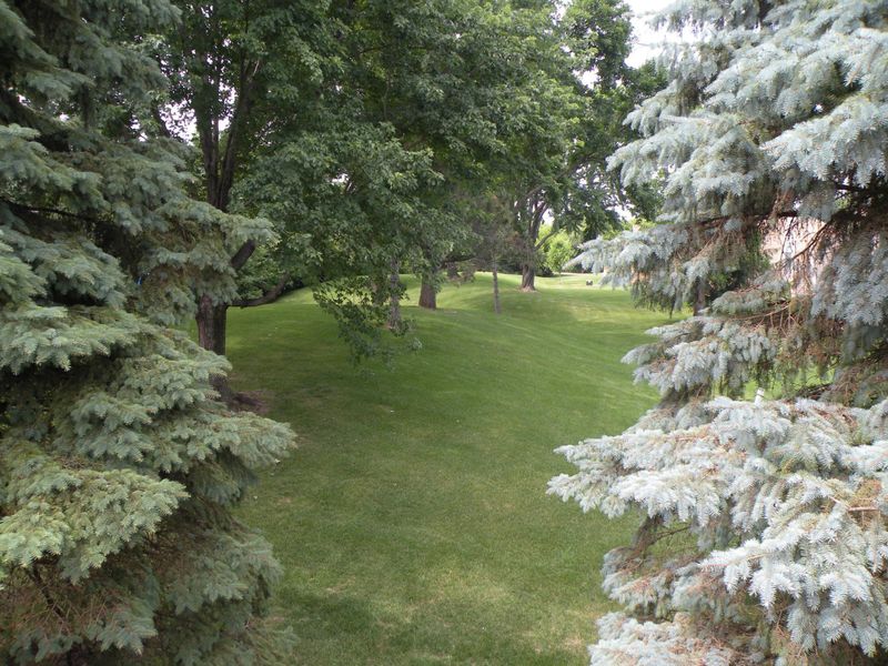 12346 Drake St NW, Coon Rapids, MN 55448