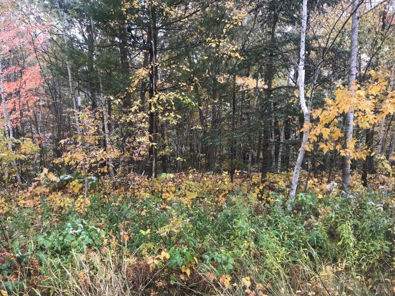 Lot 112 162nd Ave, Balsam Lake, WI 54810