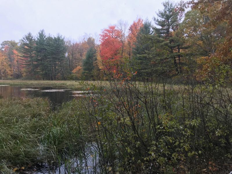 Lot 112 162nd Ave, Balsam Lake, WI 54810