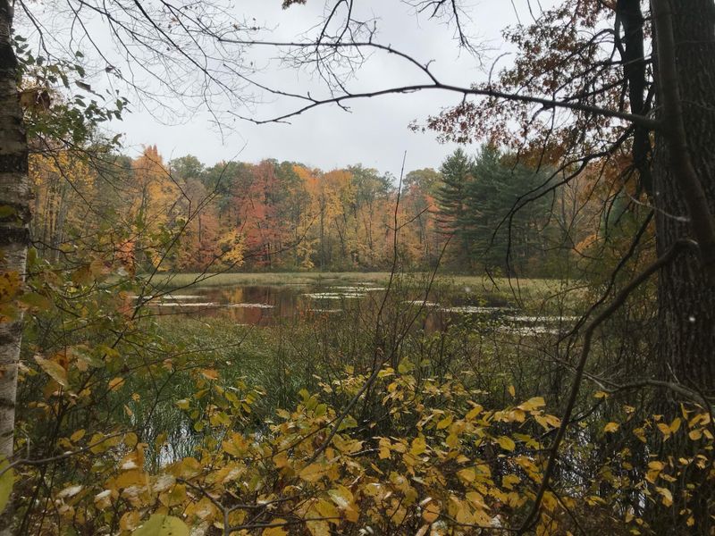 Lot 112 162nd Ave, Balsam Lake, WI 54810