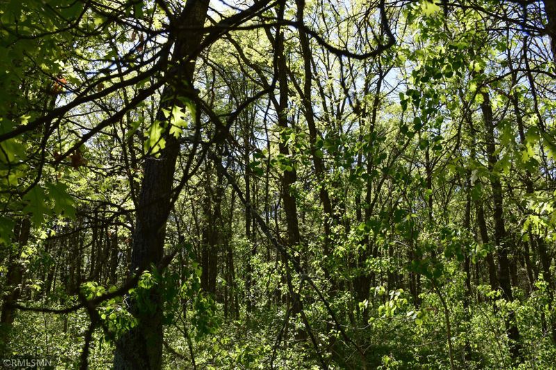 Lot 11 Drake Cir, Pine River, MN 56474