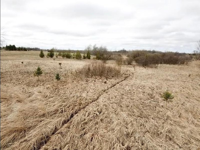 xxx 135th, Foley, MN 56329