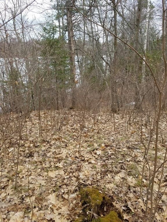 TBD Moose Trl, Laporte, MN 56461