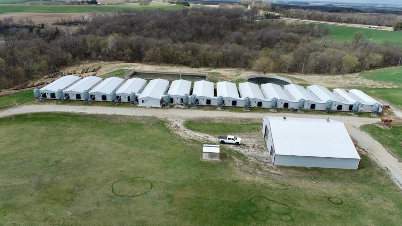 XXXX Guberud Hill Rd, Spring Grove, MN 55974