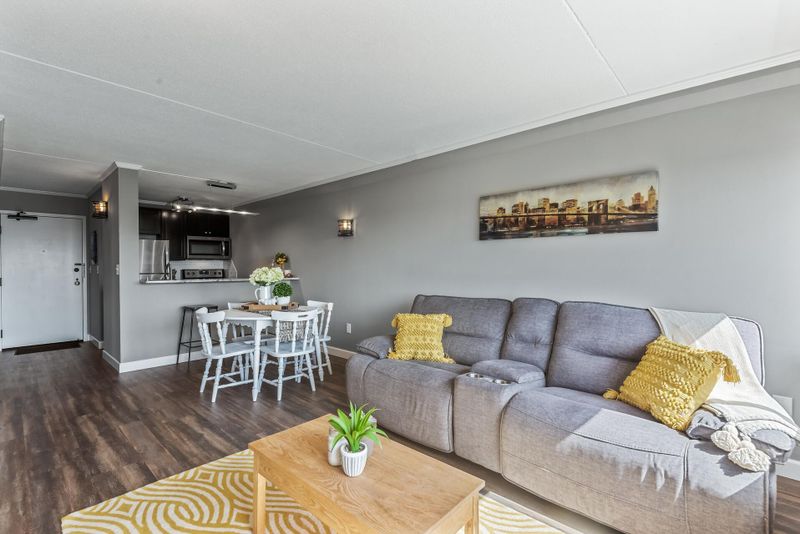 1920 S 1st St #1208, Minneapolis, MN 55454