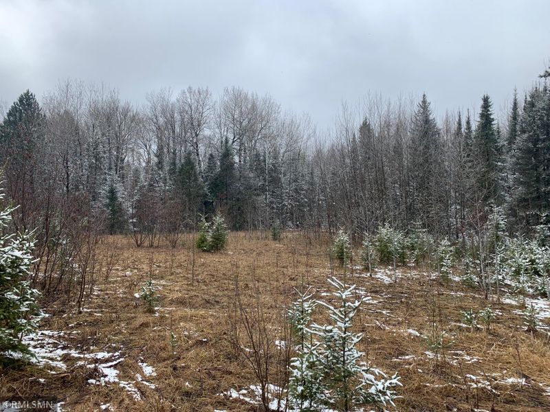 xxx Bodas Rd, Eveleth, MN 55734