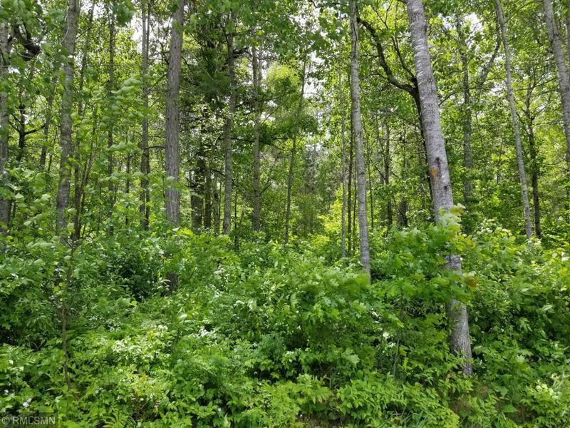 Lot 14 Redstone Trl, Pequot Lakes, MN 56472