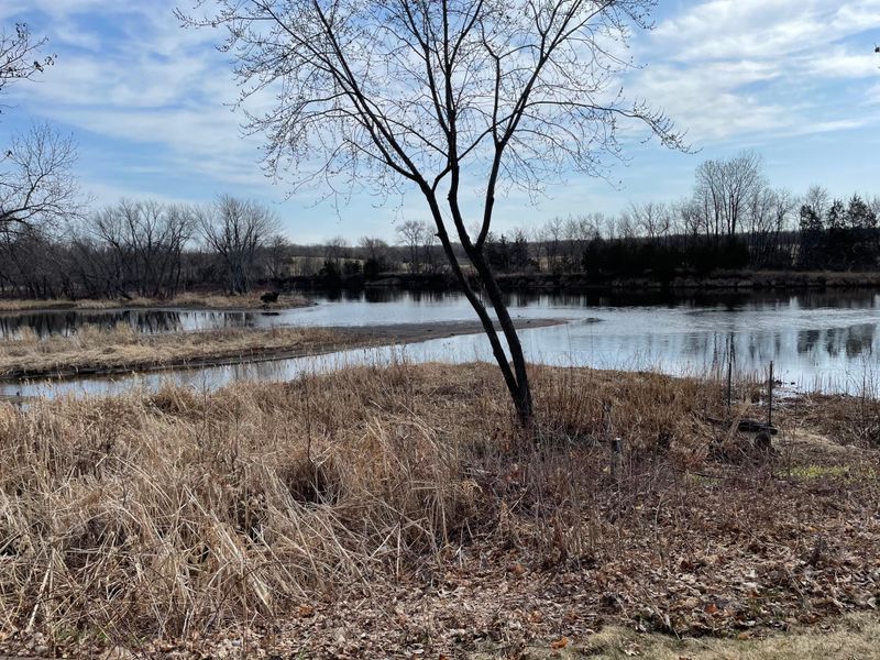 14505 Waco St NW, Andover, MN 55303