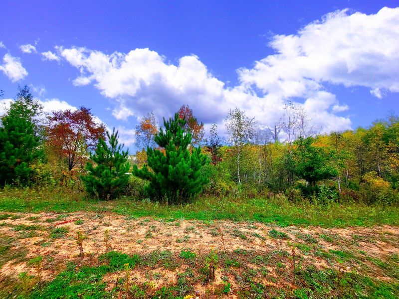 XXX Parvey Line Rd, Finlayson, MN 55735