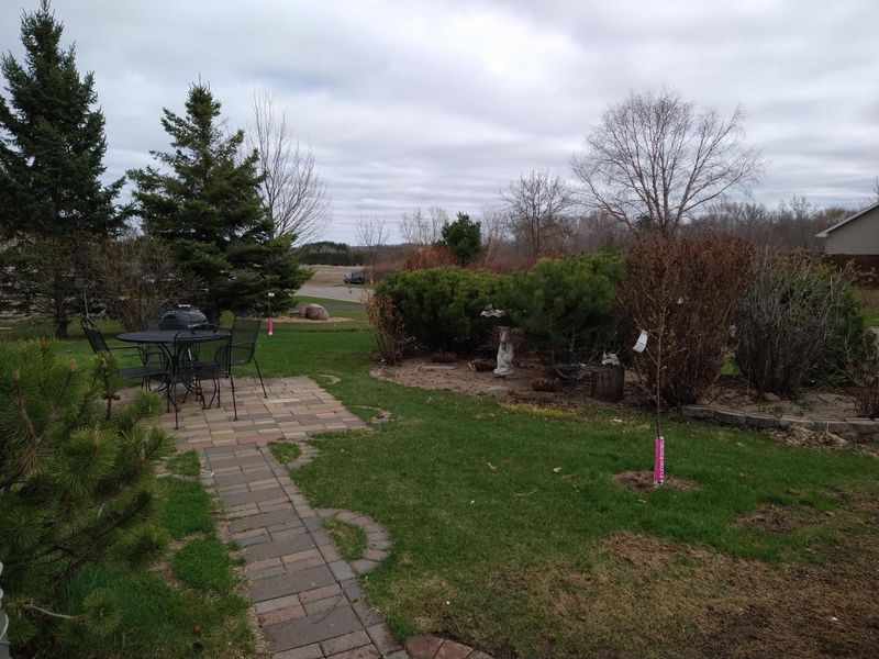 803 2nd St NE, Saint Stephen, MN 56375