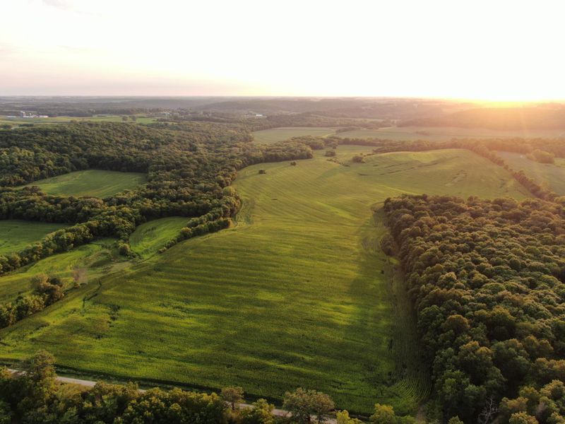 TBD Lot E 65th St NW, Byron, MN 55920
