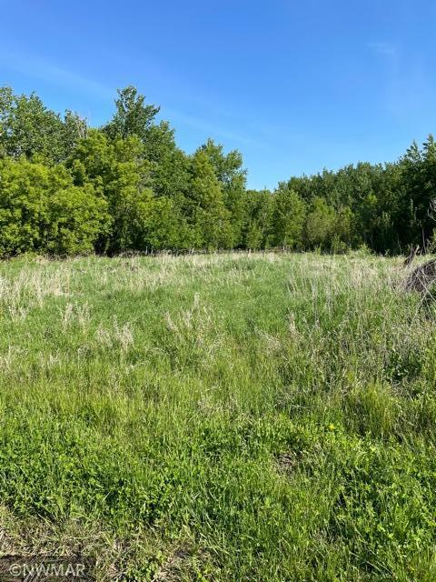 0 180th Ave NW, Strandquist, MN 56758