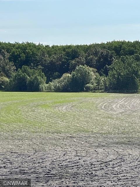 0 180th Ave NW, Strandquist, MN 56758